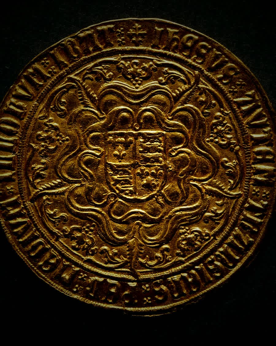 A hammered gold sovereign, its shield-and-Tudor-rose reverse struck in deep relief, lit against a dark ground.